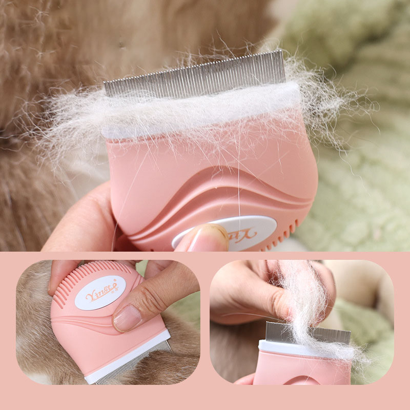 Pet Flea Comb Stainless Steel  – Comb Fine Tooth Bewertung und Preis